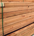 Western Red Cedar